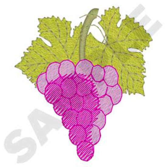 Wine /grapes Corner
