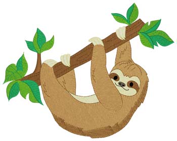 Sloth In Tree