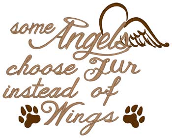 Some Angels Have Fur