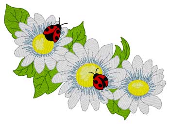 Daisies & Ladybugs