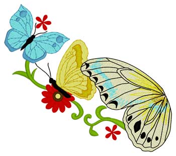 Butterflies & Flowers