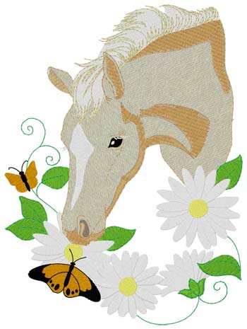 Palomino Pony